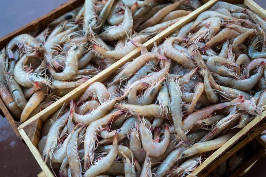 Thị Trường Tôm Thẻ Nội Địa