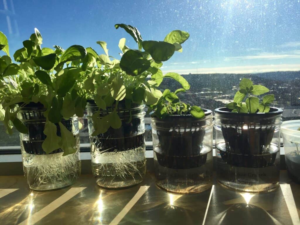 Phương pháp Kratky