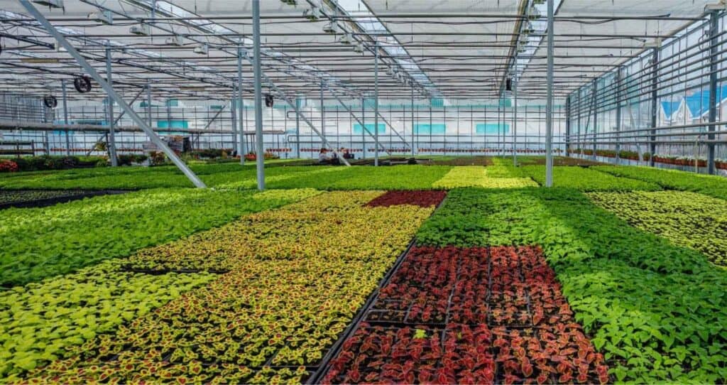 Sợi thủy tinh cho nông nghiệp Việt Nam