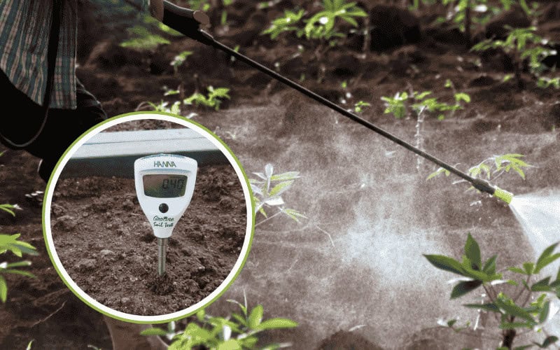 Cách đo độ mặn của đất bằng bút EC tại nhà chính xác