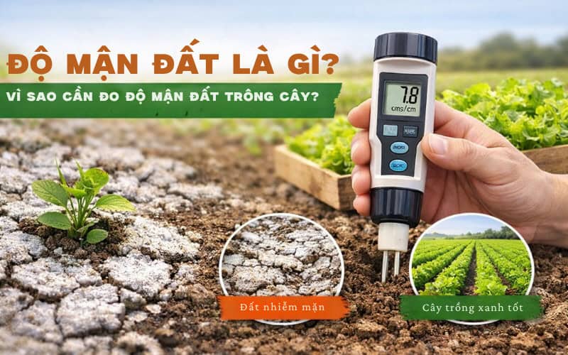 Cách đo độ mặn của đất bằng bút EC tại nhà chính xác