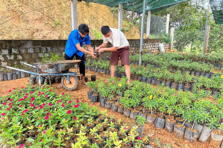 mô hình vườn ươm cây giống 100m2