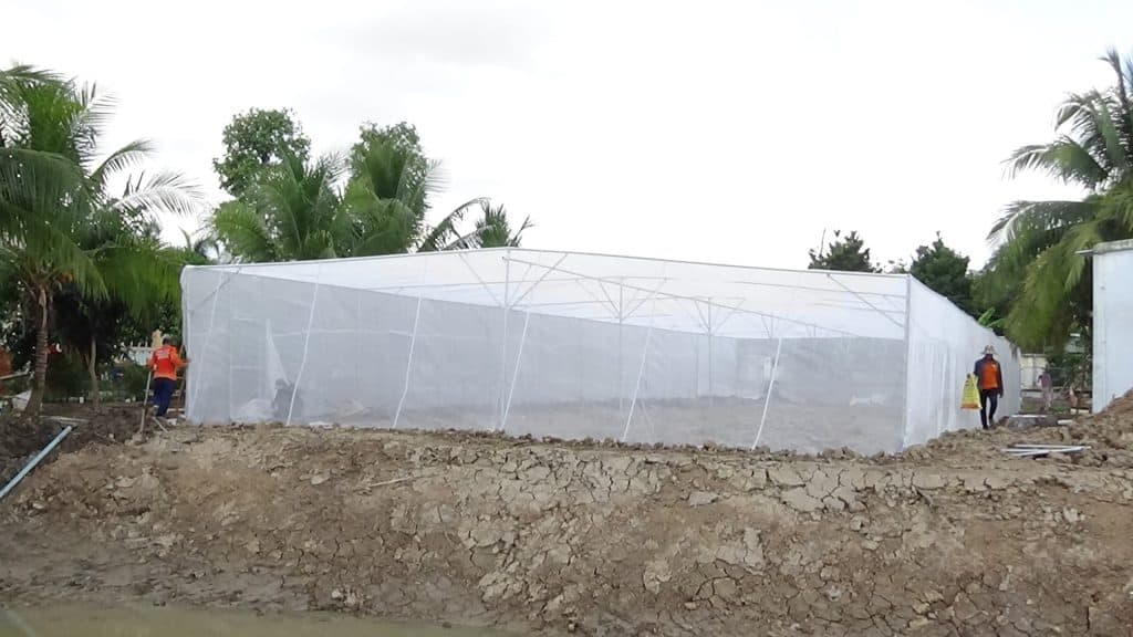 chi phí làm nhà lưới 100m2